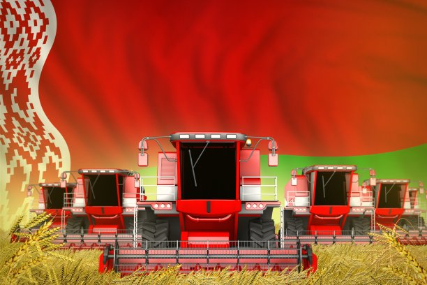 工业3D插图许多红色农业联合收割机在谷物田与白俄罗斯国旗背景-正面视图，停止饥饿的概念图片下载