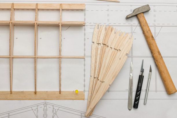 用木制飞机进行无线电控制图片下载