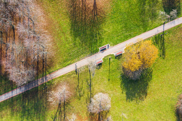 在阳光明媚的日子里，一条带长椅的笔直的人行道穿过秋天的公园。绿色的草坪和黄色的树。航拍照片图片下载