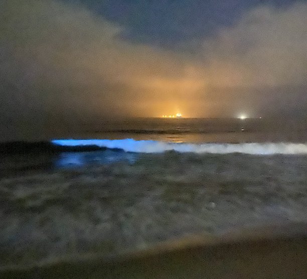 超现实的海图片下载