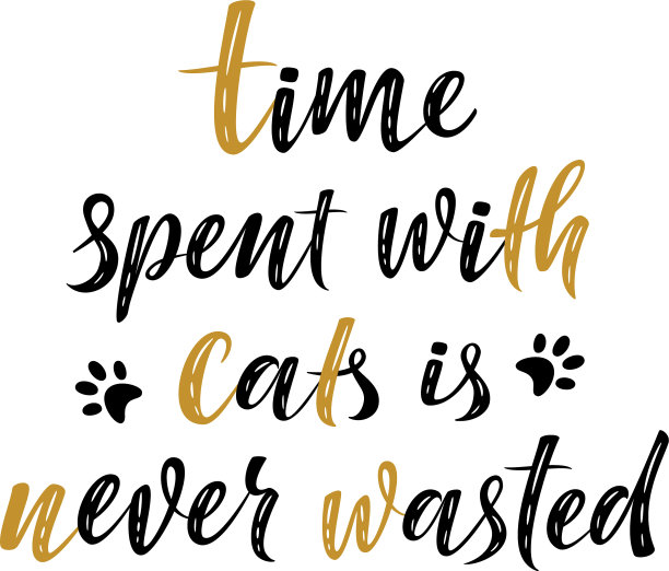 花时间与猫手写签名现代图片下载