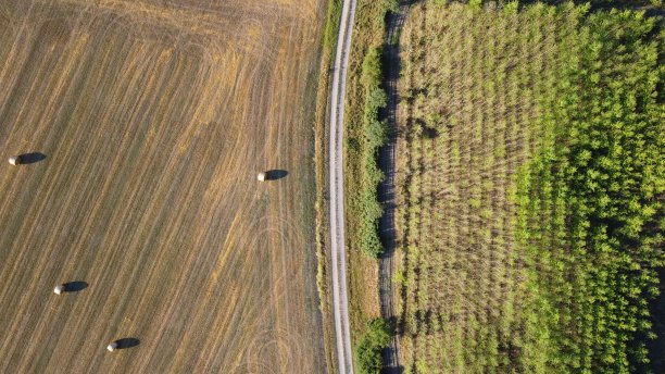 Farmfield森林道路图片下载