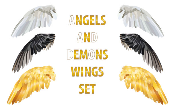 一套三对不同的翅膀白色图片下载
