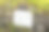 蜥蜴点方向标志图片下载
