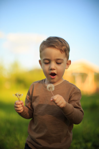 可爱的小男孩吹着蒲公英的肖像。为广告或博客拍摄关于童年的夏季照片图片下载