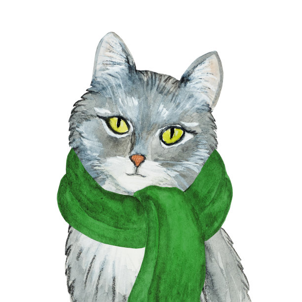 可爱的，漂亮的灰色小猫。特写镜头图片下载