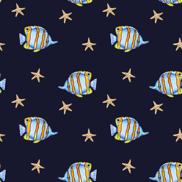 漂亮的鱼画。近距离图片下载