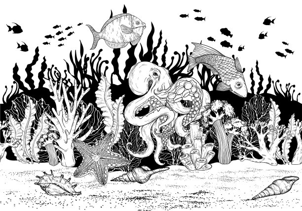 无缝图案与手绘海珊瑚礁图片下载