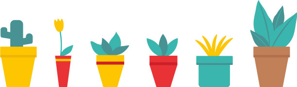 设置简单的装饰植物生长在花盆图片下载