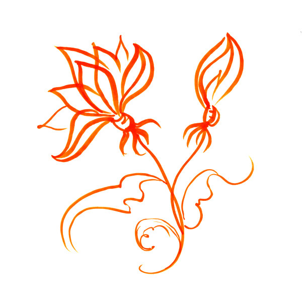 用记号笔画出鲜红色的花与叶，用手画线描图片下载