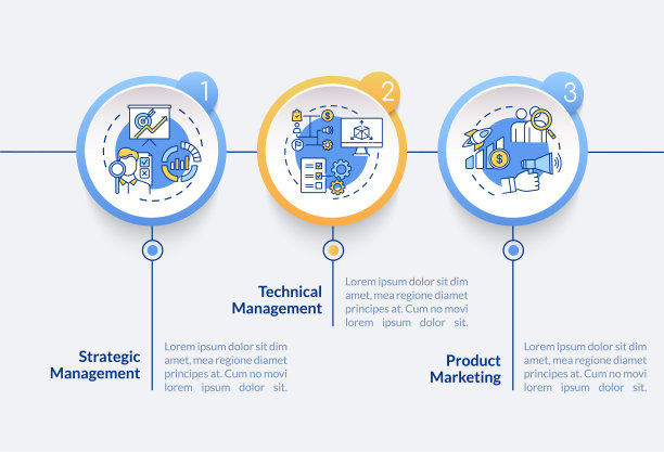 管理类型矢量信息图模板图片下载