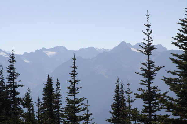 奥运会的贝利靶场图片下载