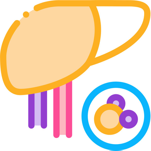 人体肝脏图标轮廓图片下载