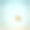 一根电线上有两个皮钦图片下载