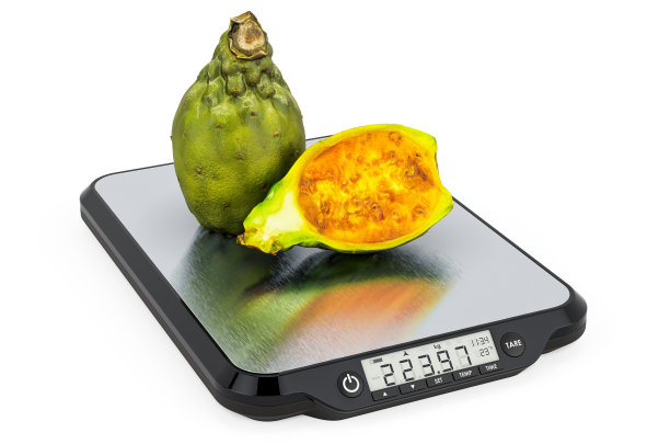 厨房鳞片与仙人掌梨。3D渲染孤立的白色背景图片下载