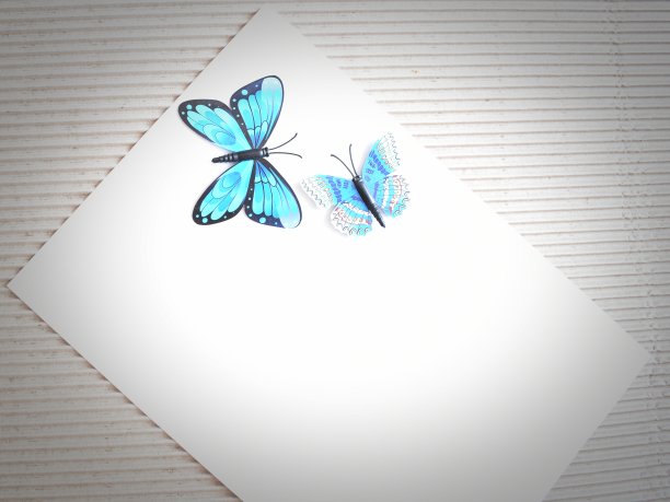 两只蓝色的蝴蝶在纸和硬纸板上。礼物图片下载