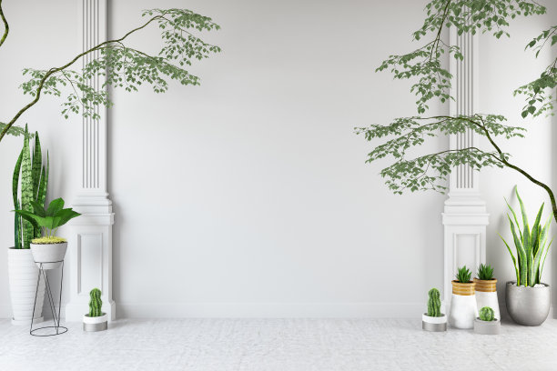 空墙与绿色植物和仙人掌图片下载