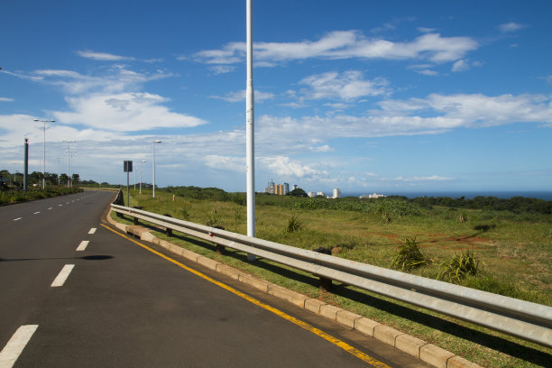 远处有住宅建筑的自然灌木图片下载