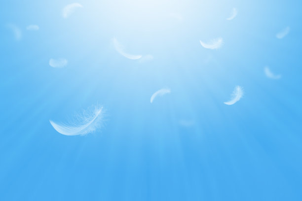 抽象的自由。一群轻盈蓬松的白色羽毛漂浮在蓝天上。图片下载