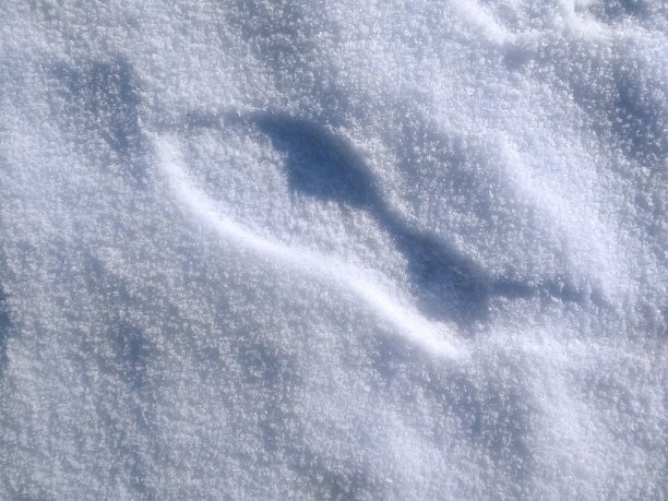 雪鞋印图片下载
