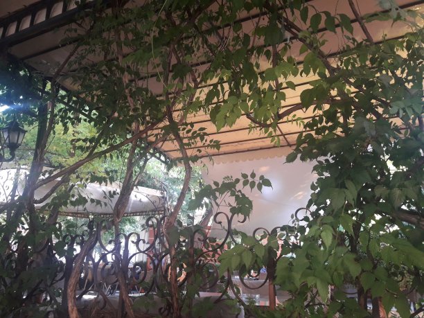 宁静的夏天图片下载