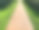 一条狭窄的木路。沿着小路有一片绿色的草坪。公园、广场的美化。一个在好天气和新鲜空气中放松和散步的地方图片下载