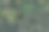 群山被绿色的森林覆盖着图片下载