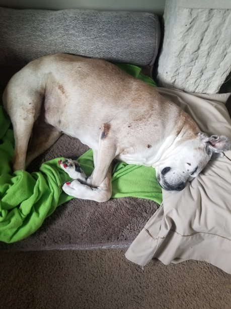 我的床够大吗?图片下载