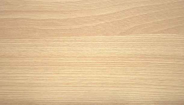 自然光桦木特写，丰富的线条勾勒在切割上。图片下载