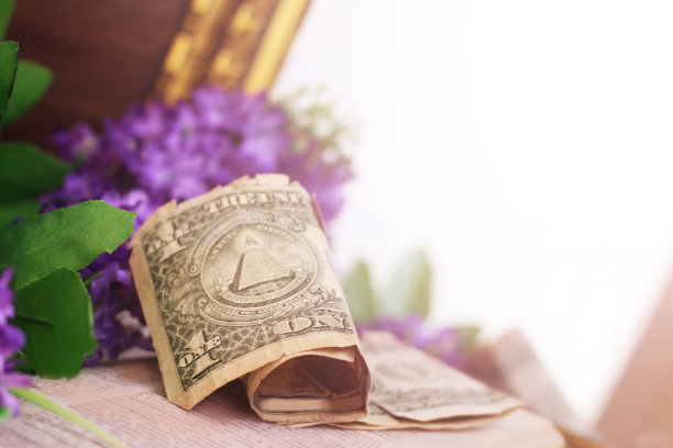 一美元的钞票和鲜花图片下载