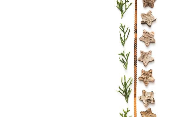 白色背景上的圣诞安排图片下载