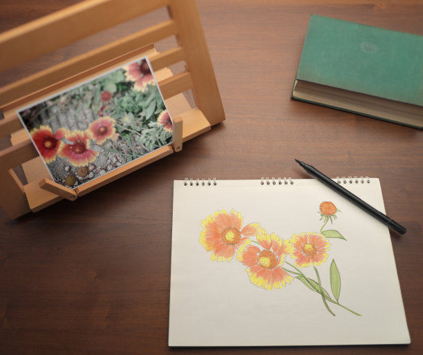 在纸上照着照片画花图片下载