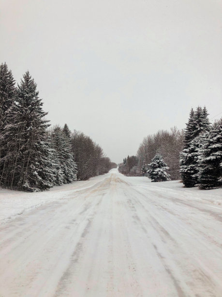 暴风雪后的乡村道路图片下载