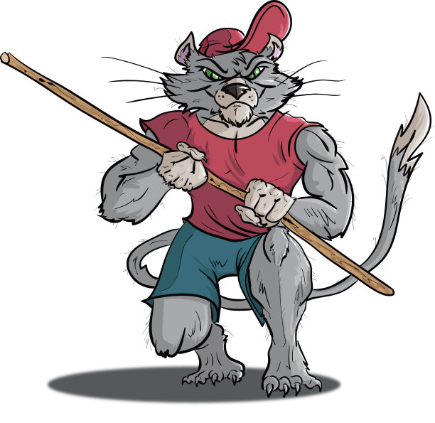 功夫猫图片下载