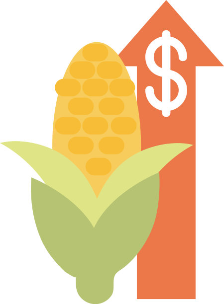 新鲜玉米市场上涨，粮价上涨图片下载