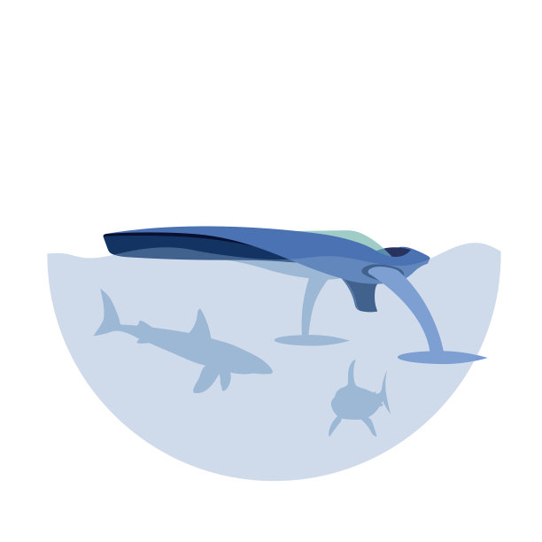 具有水翼的现代水上快艇图片下载