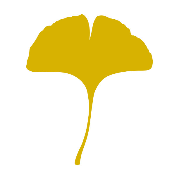 银杏叶图片下载