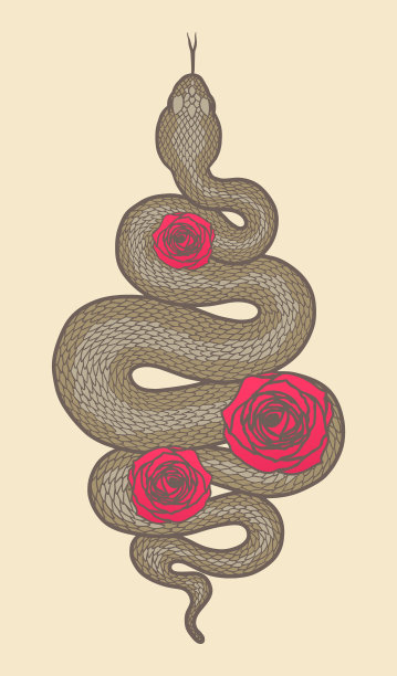 带玫瑰的盘绕蛇精细插画图片下载