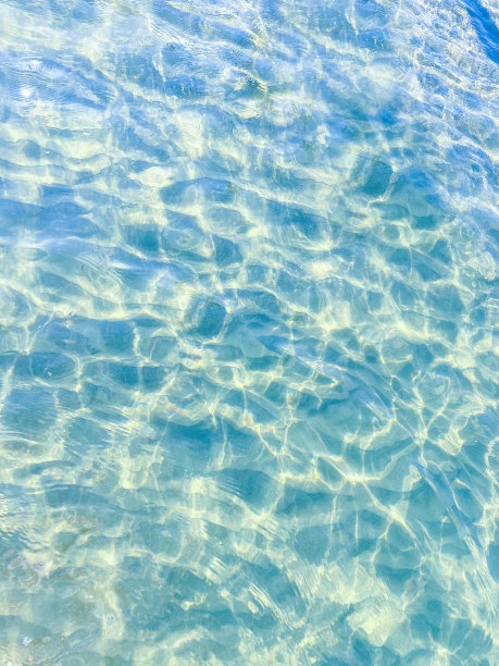 水晶水母图片下载