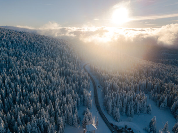 穿过积雪覆盖的冬季森林的道路图片下载