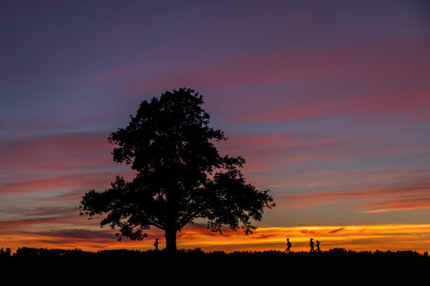 在彩色的晚霞背景下，奔跑的人们和一棵树枝的剪影图片下载