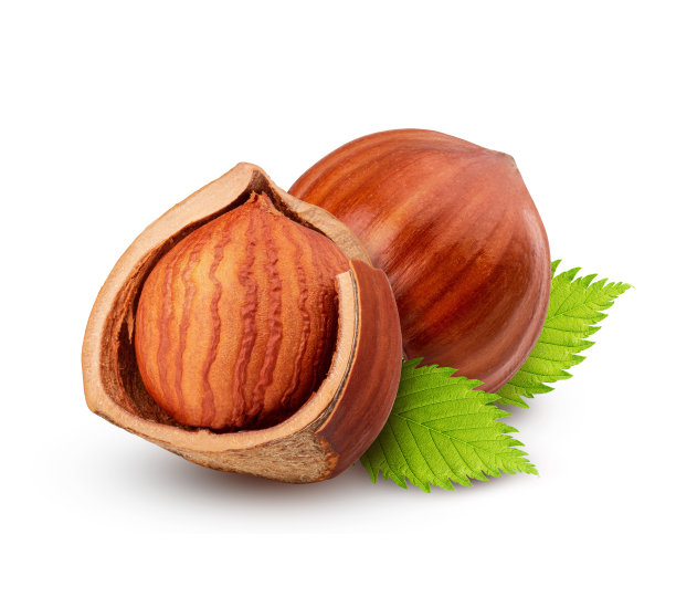 叶子孤立在白色背景上的榛子图片下载