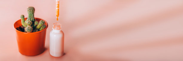 仙人掌在橙锅和油血清滴到瓶中。图片下载