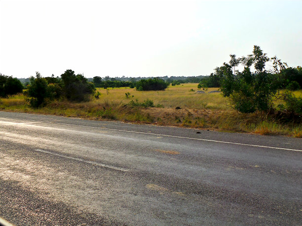 日落时分的萨凡纳道图片下载