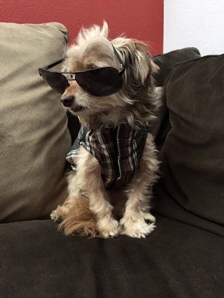 加州的氛围图片下载