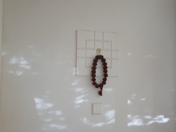 早上好，在一个阳光明媚的早晨图片下载