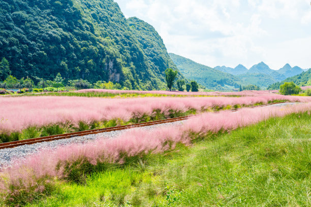 Hairawn穆勒图片下载