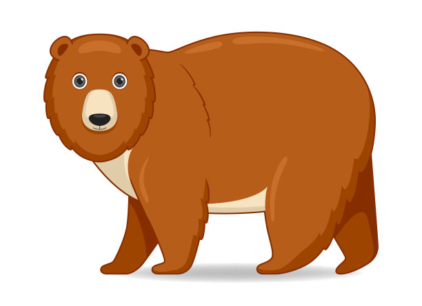 灰熊站在白色的背景上图片下载
