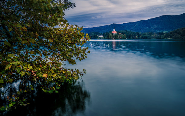 斯洛文尼亚布莱德湖上的教堂和布莱德城堡图片下载