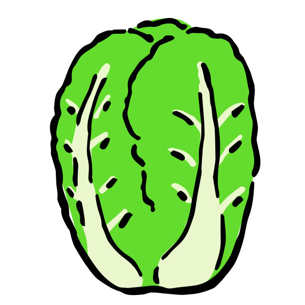 大白菜插图:类似手绘的笔墨插图图片下载